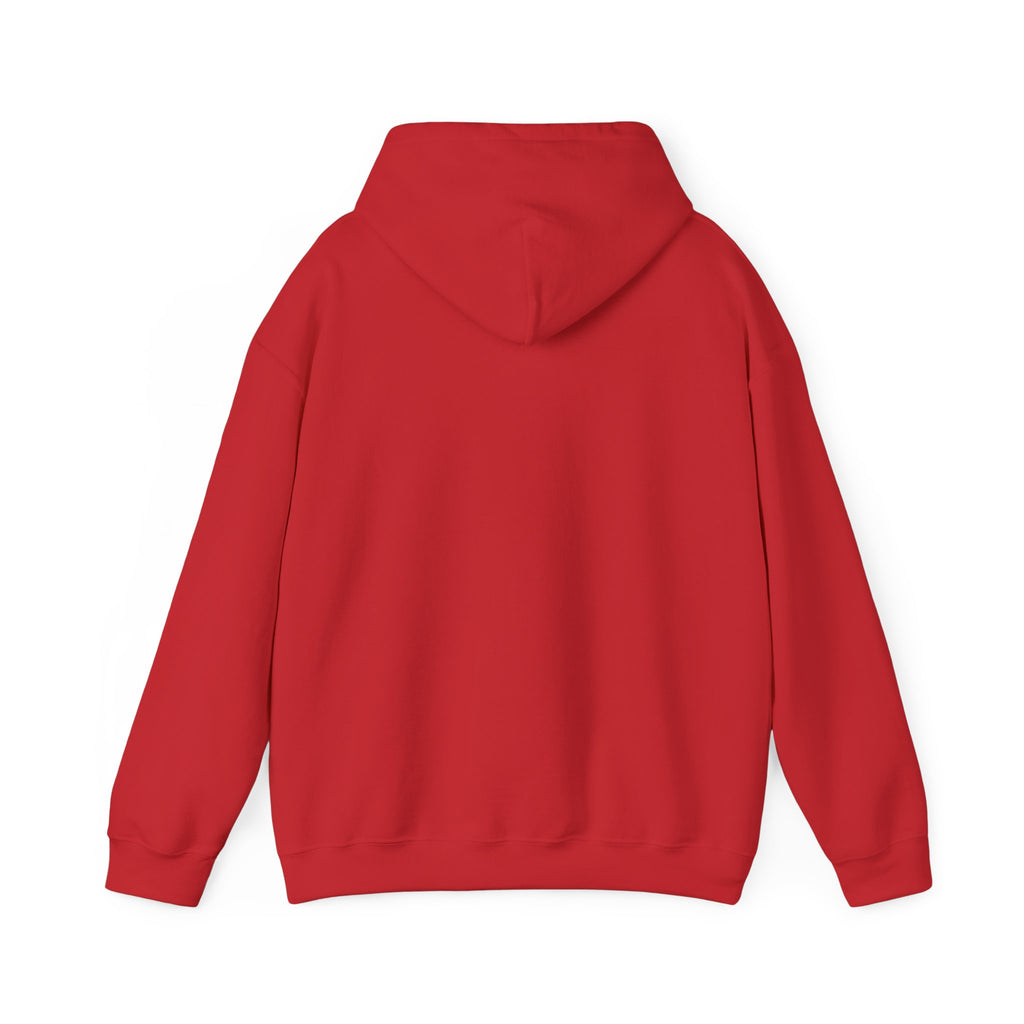 ZYNTH Wings Hoodie