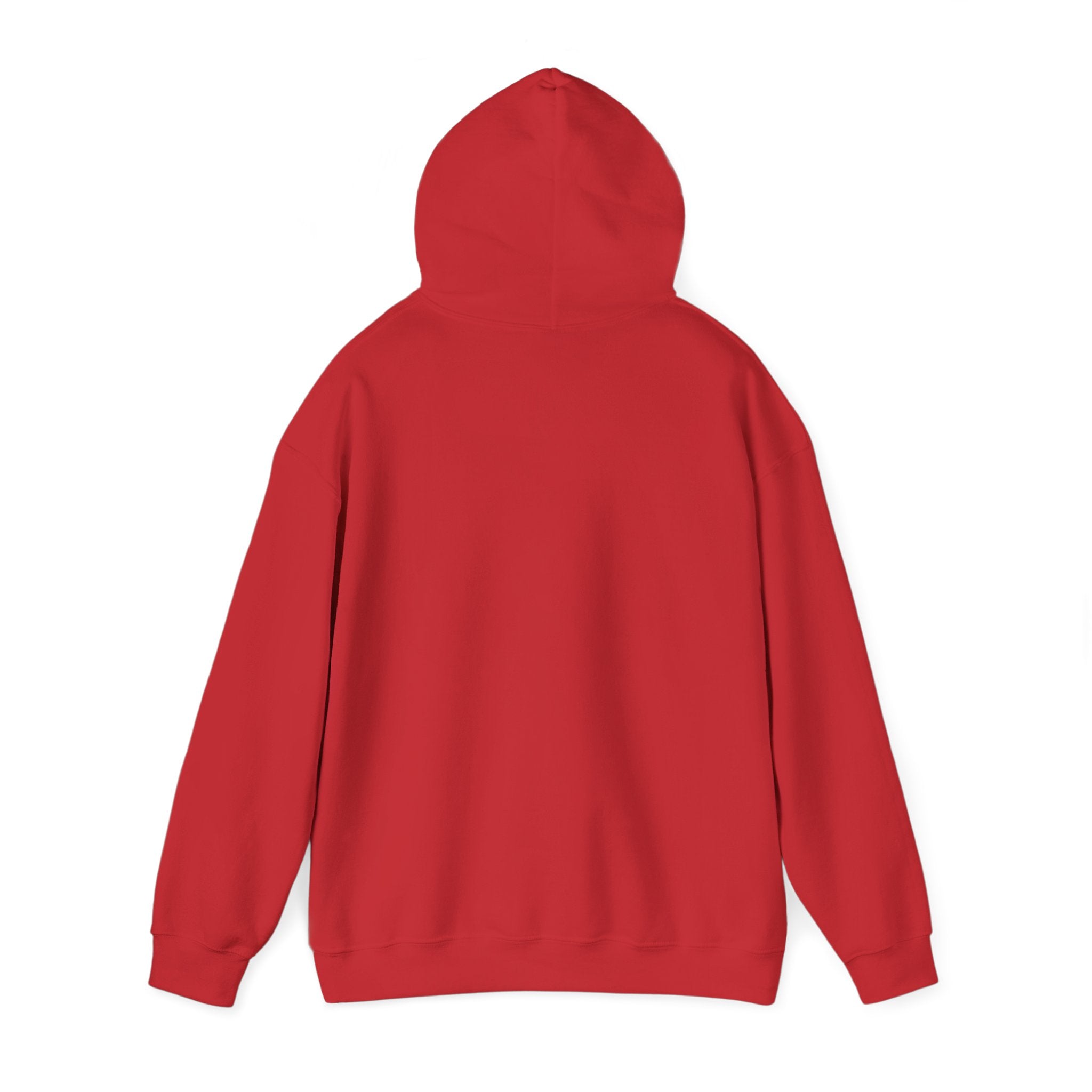 ZYNTH Wings Hoodie