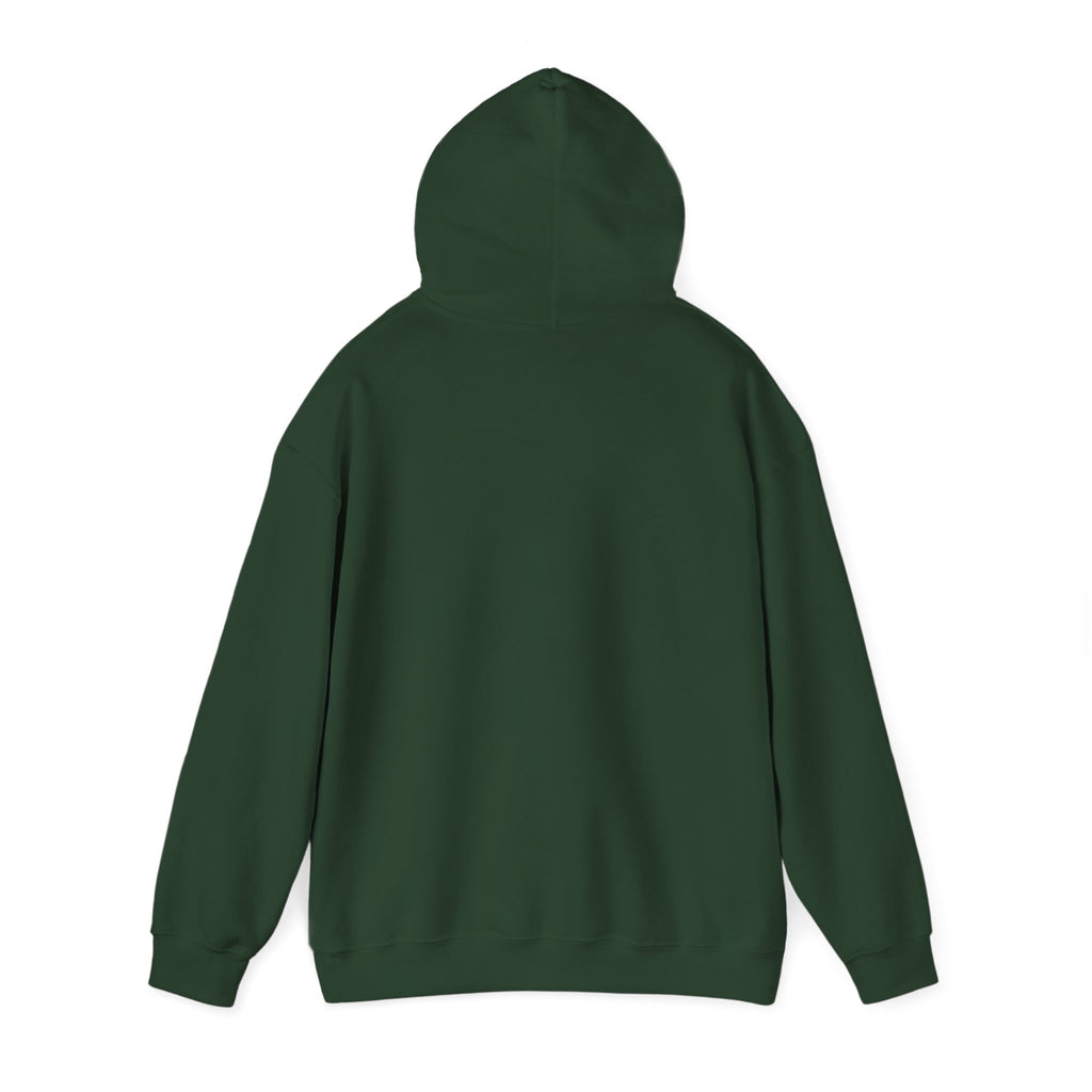 ZYNTH Wings Hoodie