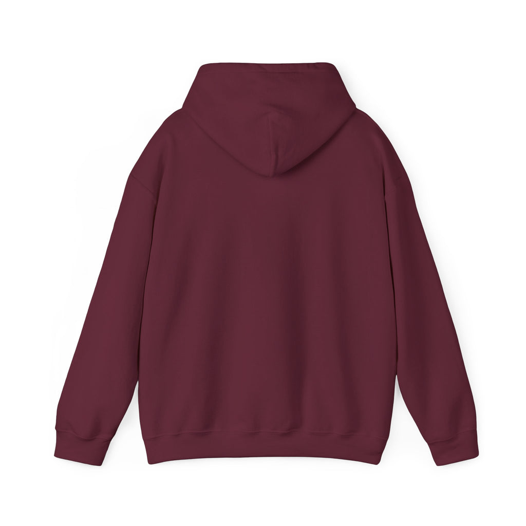 ZYNTH Wings Hoodie