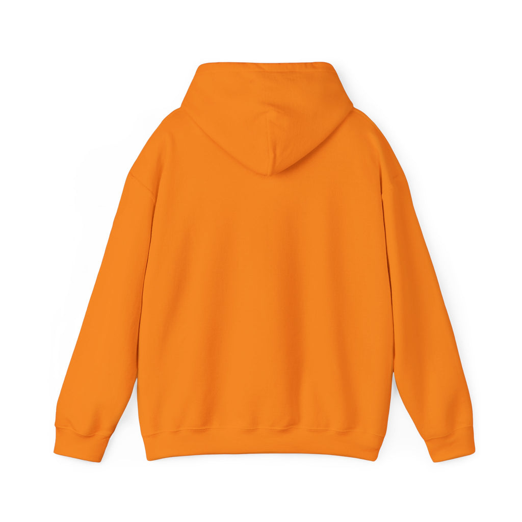ZYNTH Wings Hoodie