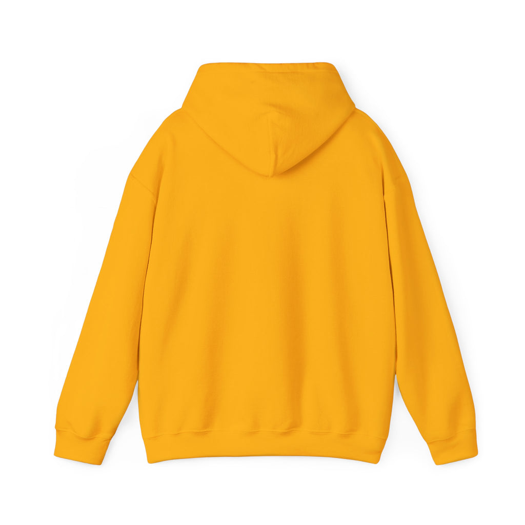 ZYNTH Wings Hoodie