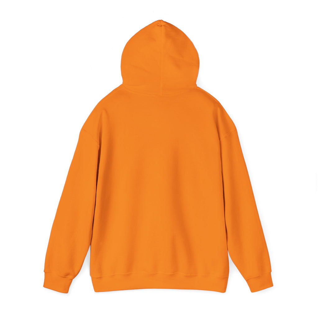 ZYNTH Wings Hoodie