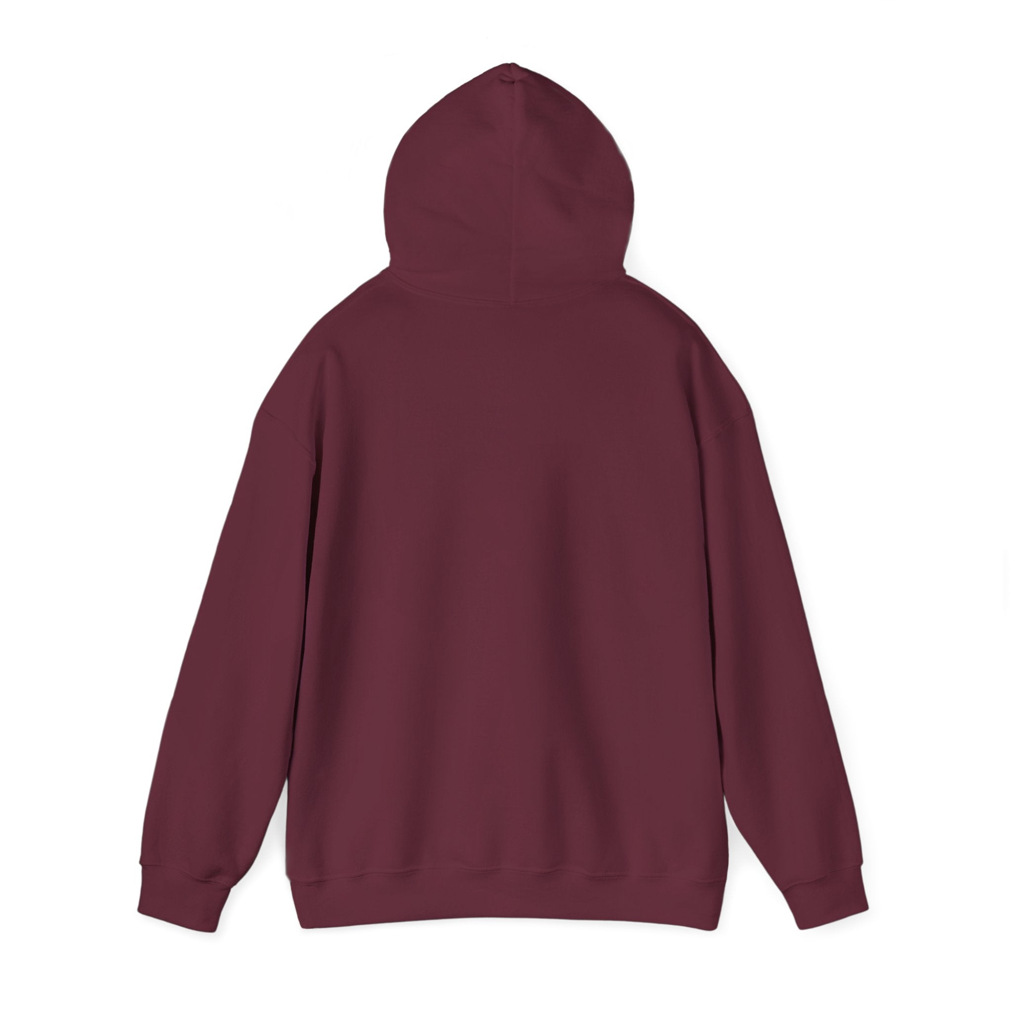 ZYNTH Wings Hoodie