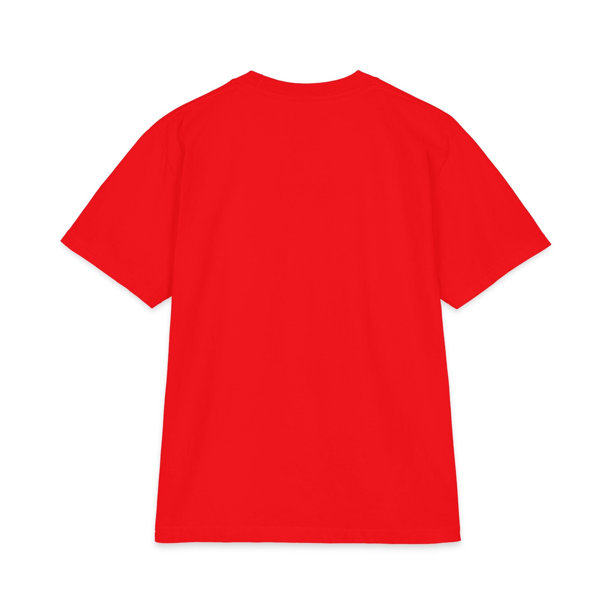 ZYNTH Winged BIG Graphic Tee